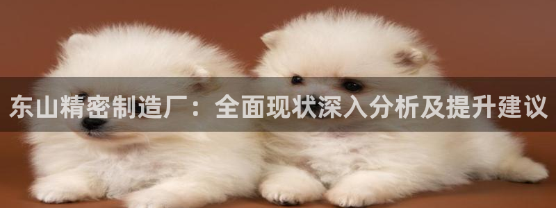彩神8官网下：东山精密制造厂：全面现状深入分析及提升建议