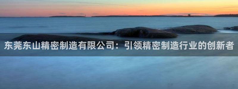 彩神正规吗：东莞东山精密制造有限公司：引领精密制造行业的创新者