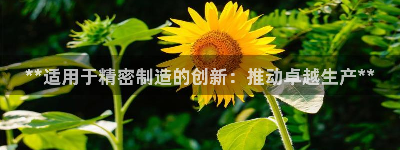 彩神v8下载网址：**适用于精密制造的创新：推动卓越生产**