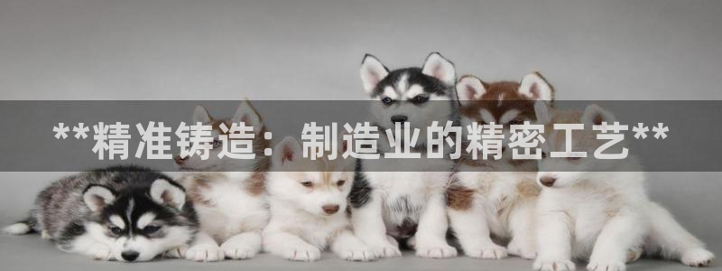 彩神v8平台正规吗安全吗：**精准铸造：制造业的精密工艺**
