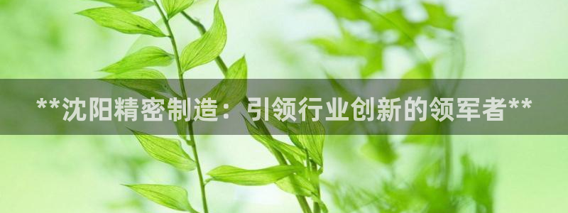 彩神v8下载app5.0：**沈阳精密制造：引领行业创新的领军者**