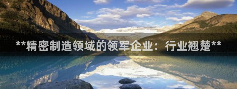 彩神v1破解器：**精密制造领域的领军企业：行业翘楚**