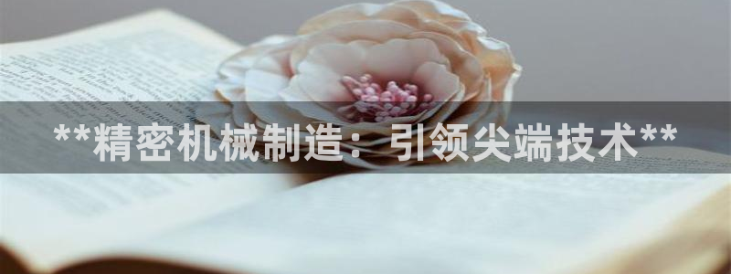 彩神V3大赢家：**精密机械制造：引领尖端技术**