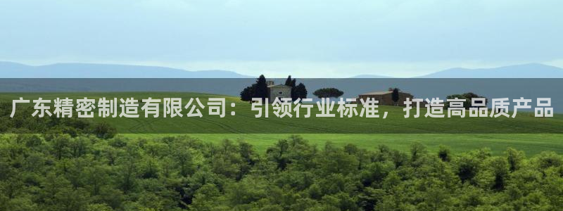 彩神iv是正规平台吗?：广东精密制造有限公司：引领行业标准，打造高品质产品