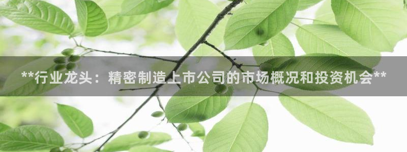 彩神vii手游下载：**行业龙头：精密制造上市公司的市场概况和投资机会**