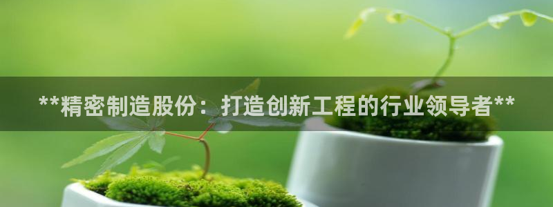彩神vll趣投彩：**精密制造股份：打造创新工程的行业领导者**