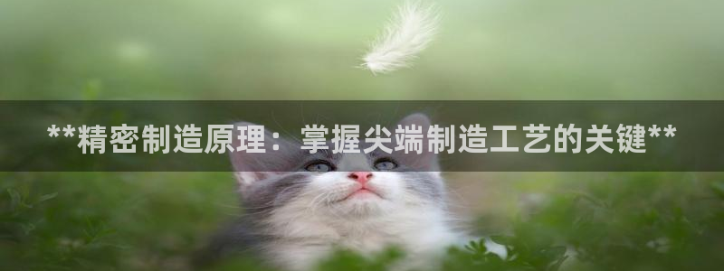 彩神怎么样可以提现：**精密制造原理：掌握尖端制造工艺的关键**
