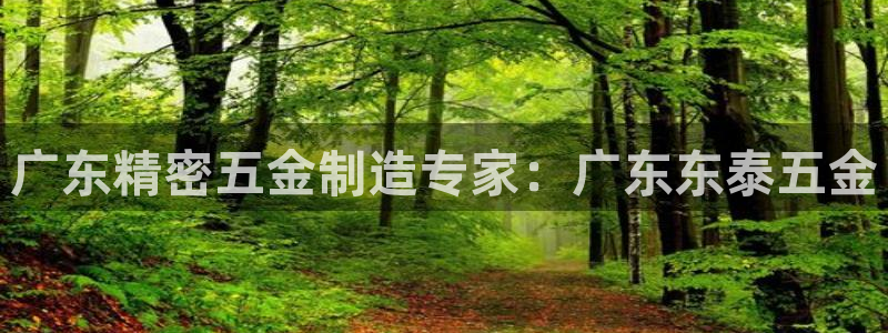 彩神Vll购彩大厅：广东精密五金制造专家：广东东泰五金