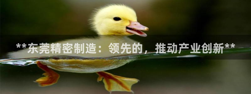 彩神v天天：**东莞精密制造：领先的，推动产业创新**