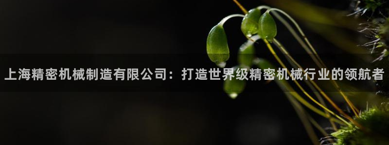 新版彩神v8登录不上去：上海精密机械制造有限公司：打造世界级精密机械行业的领航者