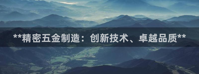 彩神大发三期计划网站：**精密五金制造：创新技术、卓越品质**