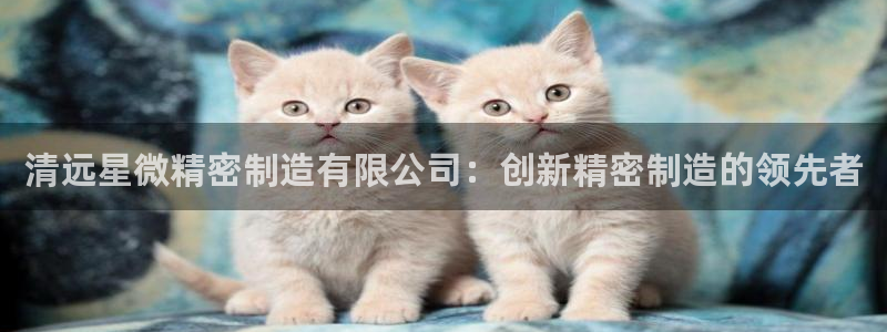 彩神8彩平台官网：清远星微精密制造有限公司：创新精密制造的领先者