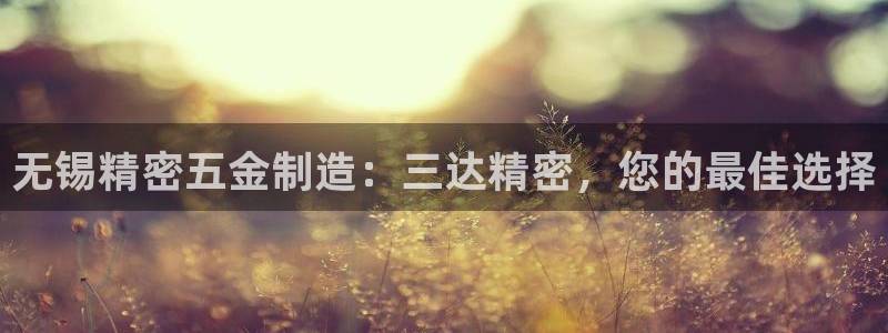 彩神旗下有哪些平台可以玩：无锡精密五金制造：三达精密，您的最佳选择