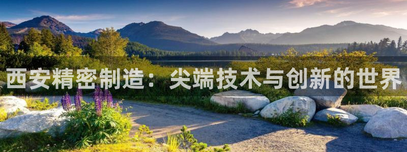 彩神8购彩-购彩大厅：西安精密制造：尖端技术与创新的世界