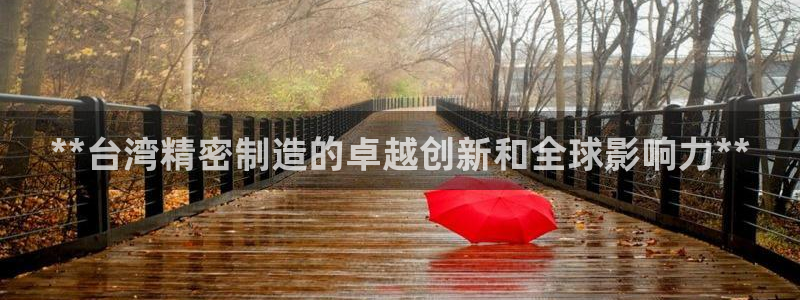 彩神旗下有哪些平台：**台湾精密制造的卓越创新和全球影响力**