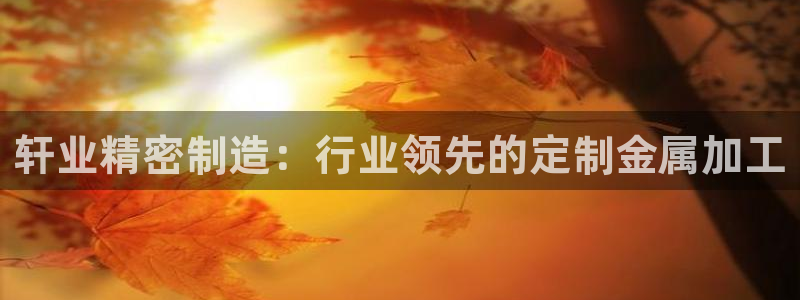 彩神v8首页：轩业精密制造：行业领先的定制金属加工