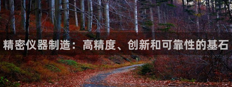 彩神v8平台正规吗安全吗：精密仪器制造：高精度、创新和可靠性的基石