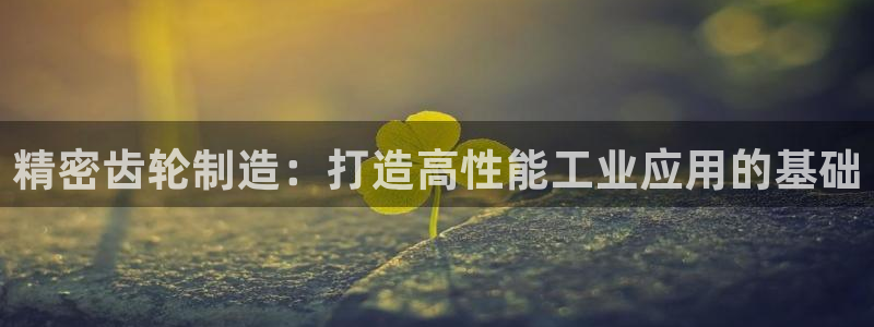 彩神v8是一个什么平台：精密齿轮制造：打造高性能工业应用的基础
