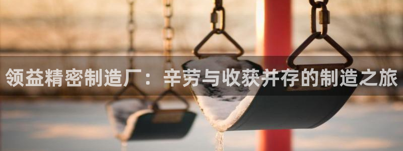 彩神购彩-购彩大厅入口计划群：领益精密制造厂：辛劳与收获并存的制造之旅