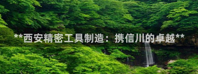 彩神ⅴll用户登录：**西安精密工具制造：携信川的卓越**