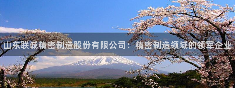 彩神v8手机客户端：山东联诚精密制造股份有限公司：精密制造领域的领军企业