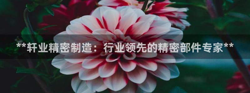 彩神赢的钱是哪里来的啊：**轩业精密制造：行业领先的精密部件专家**