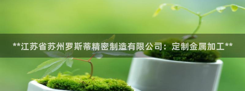 彩神8是正规平台吗：**江苏省苏州罗斯蒂精密制造有限公司：定制金属加工**