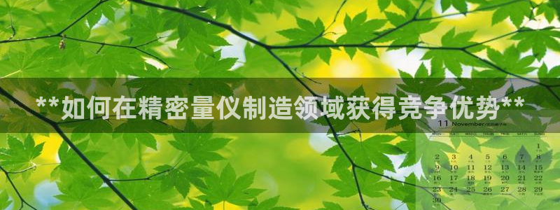 下载彩神乐发V：**如何在精密量仪制造领域获得竞争优势**