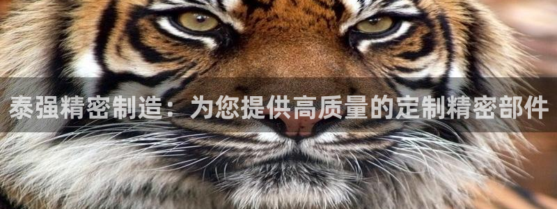 彩神v8购彩大厅登：泰强精密制造：为您提供高质量的定制精密部件
