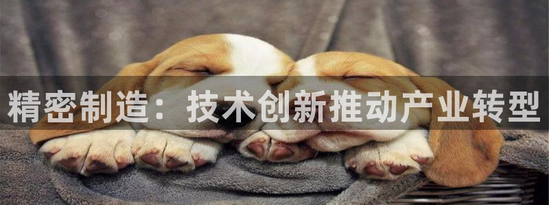 彩神v8有多久了?靠谱吗：精密制造：技术创新推动产业转型