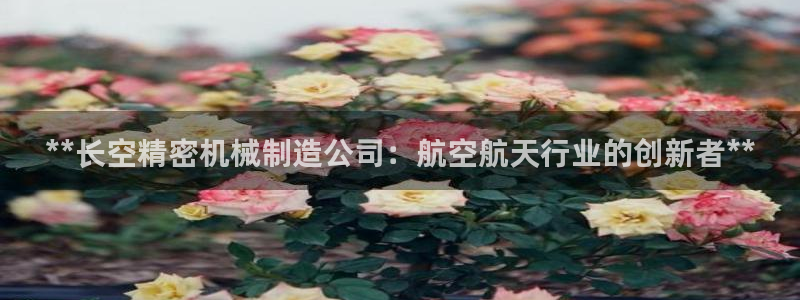 彩神vll购彩大厅大众：**长空精密机械制造公司：航空航天行业的创新者**
