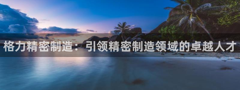 下载彩神乐发V：格力精密制造：引领精密制造领域的卓越人才