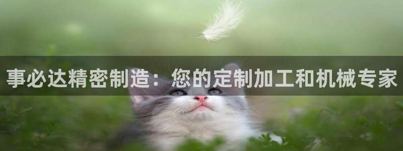 彩神这个平台是真的吗：事必达精密制造：您的定制加工和机械专家