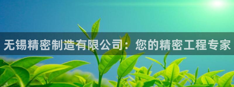 彩神vip官方网站：无锡精密制造有限公司：您的精密工程专家
