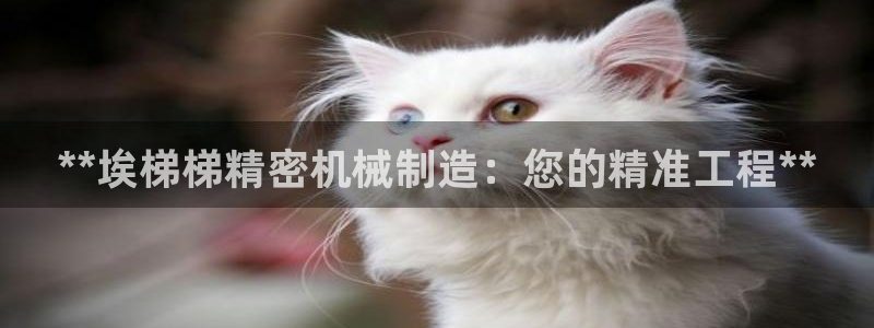 彩神平台是什么套路：**埃梯梯精密机械制造：您的精准工程**