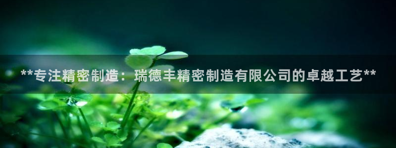 彩神合法吗.是国家认可的吗：**专注精密制造：瑞德丰精密制造有限公司的卓越工艺**