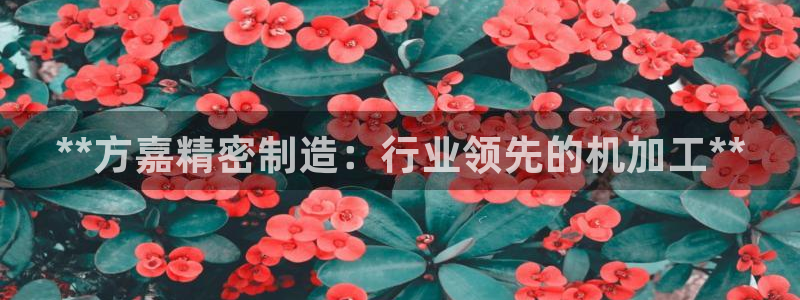 彩神争霸官方下载2017