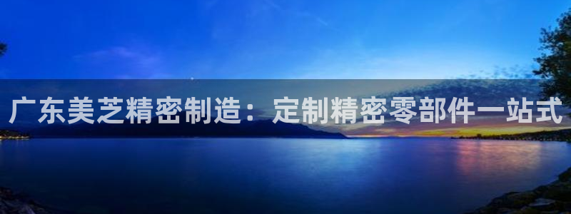 彩神vip购彩大厅：广东美芝精密制造：定制精密零部件一站式