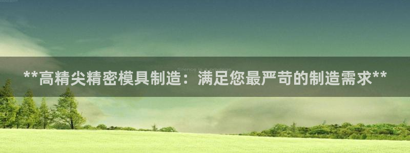 彩神8最新版下载：**高精尖精密模具制造：满足您最严苛的制造需求**