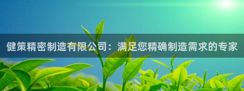 彩神购彩-购彩大厅入口娱乐首选：健策精密制造有限公司：满足您精确制造需求的专家