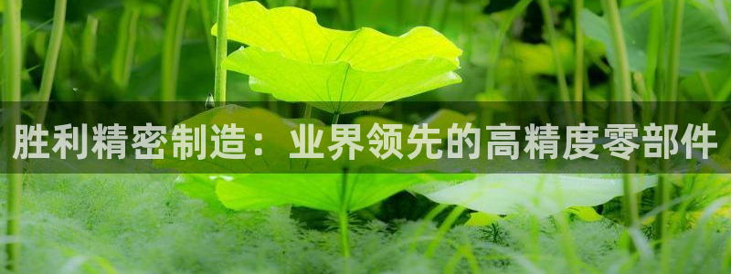 彩神vip官方网站：胜利精密制造：业界领先的高精度零部件