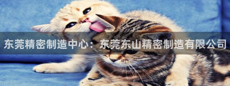 彩神邀请码:00-00-3267：东莞精密制造中心：东莞东山精密制造有限公司