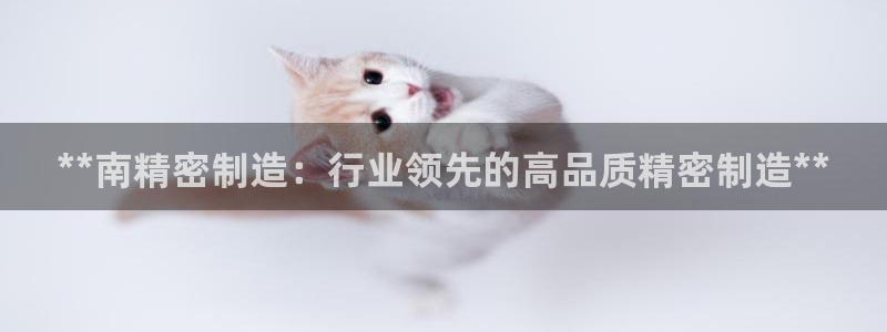 彩神赢钱了吗：**南精密制造：行业领先的高品质精密制造**