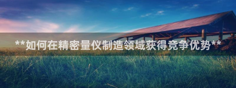 彩神v网赌软件下载：**如何在精密量仪制造领域获得竞争优势**