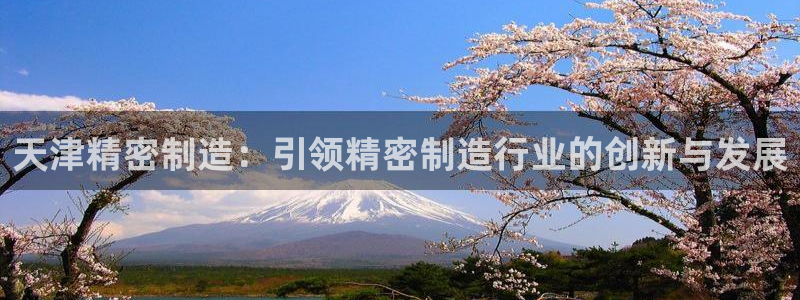 彩神网可以赚钱是真的吗：天津精密制造：引领精密制造行业的创新与发展