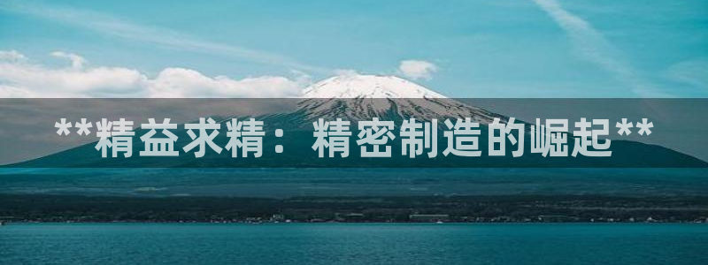 彩神购彩-购彩大厅入口老版：**精益求精：精密制造的崛起**