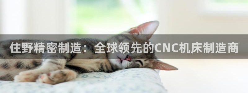 彩神旗下有哪些平台可以看：住野精密制造：全球领先的CNC机床制造商