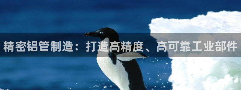 彩神争霸官方下载：精密铝管制造：打造高精度、高可靠工业部件