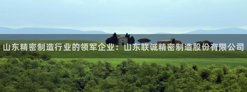 彩神官方登录：山东精密制造行业的领军企业：山东联诚精密制造股份有限公司