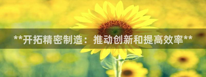 彩神旗下有哪些平台可以看：**开拓精密制造：推动创新和提高效率**